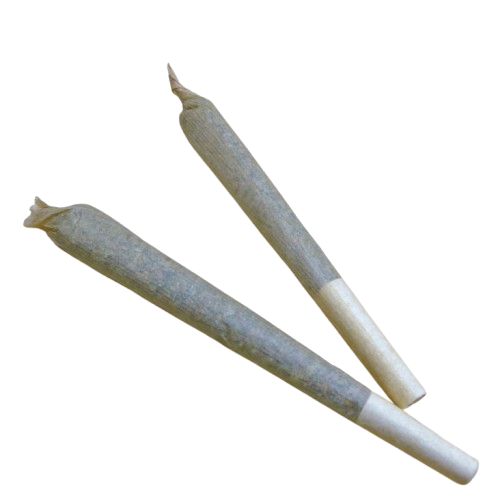 Two hand-rolled cannabis pre-roll joints