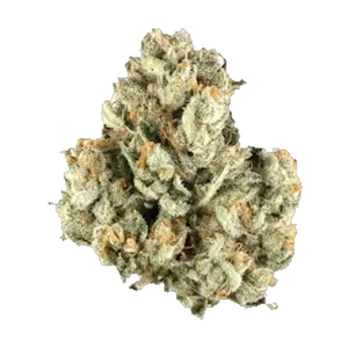 Berners Cookies AAAA hybrid flower